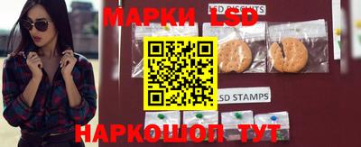 крисы Берёзовский