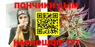 гидропоника Бийск