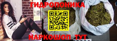 гидропоника Бийск