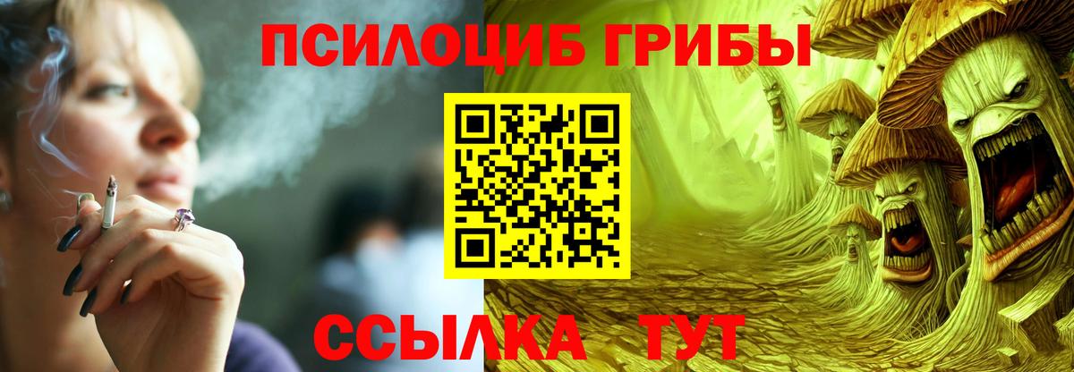 Псилоцибиновые грибы GOLDEN TEACHER  Вход с VPN  Жигулёвск 