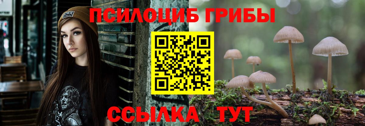 Галлюциногенные грибы ЛСД  Псилоцибиновые грибы Psilocybe  Жигулёвск 